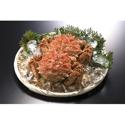 ふるさと納税 青森市 【厳選逸品】青森産 丸勝水産のトゲクリガニ(400gUP×2杯) |  | 01