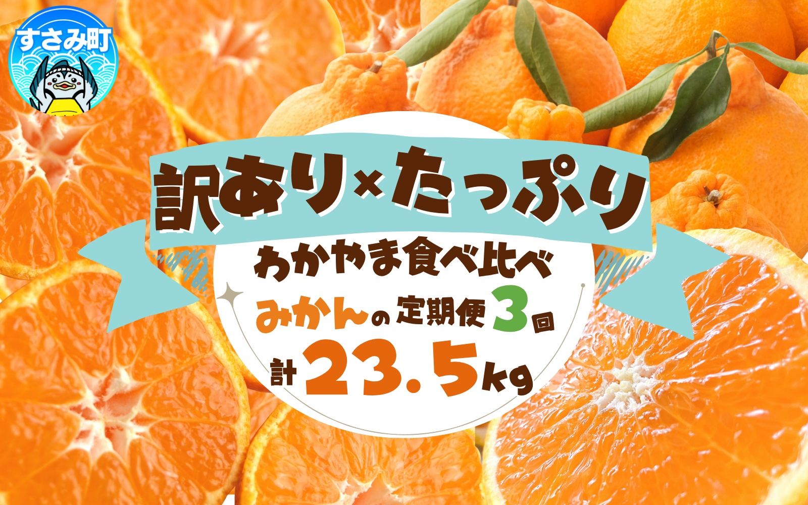 【3か月定期便】たっぷり届く♪訳ありみかんの定期便 / 訳あり 有田みかん 果物 フルーツ 柑橘 みかん ミカン くだもの 定期便【tkb113】
