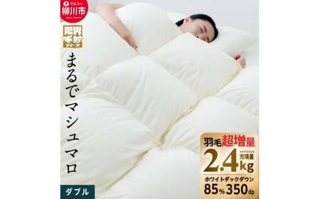 【限界手前シリーズ】超超増量2.4kg 羽毛布団 ダブル 羽毛掛け布団 本掛け 布団 羽毛 羽毛ふとん 掛け布団 ダブルロング 寝具 福岡県 柳川市