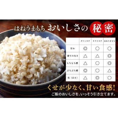 ふるさと納税 つがる市 青森産 特別栽培 つがるもち麦 美仁 5kg [0344] |  | 03