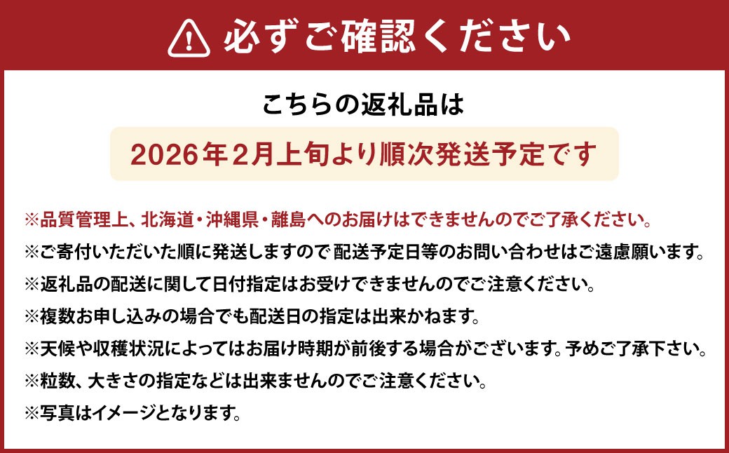 化粧箱入りプレミアムあまおう 約400g×1パック【ギフト・お祝い・贈答用】