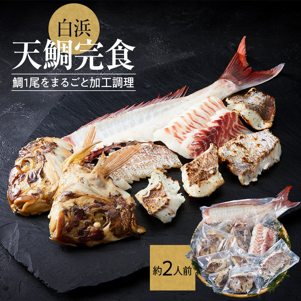 【ふるさと納税】白浜天鯛完食 【先行予約 2026年3月初旬～5月中旬に順次配送】 | 魚 お魚 さかな 食品 人気 おすすめ 送料無料