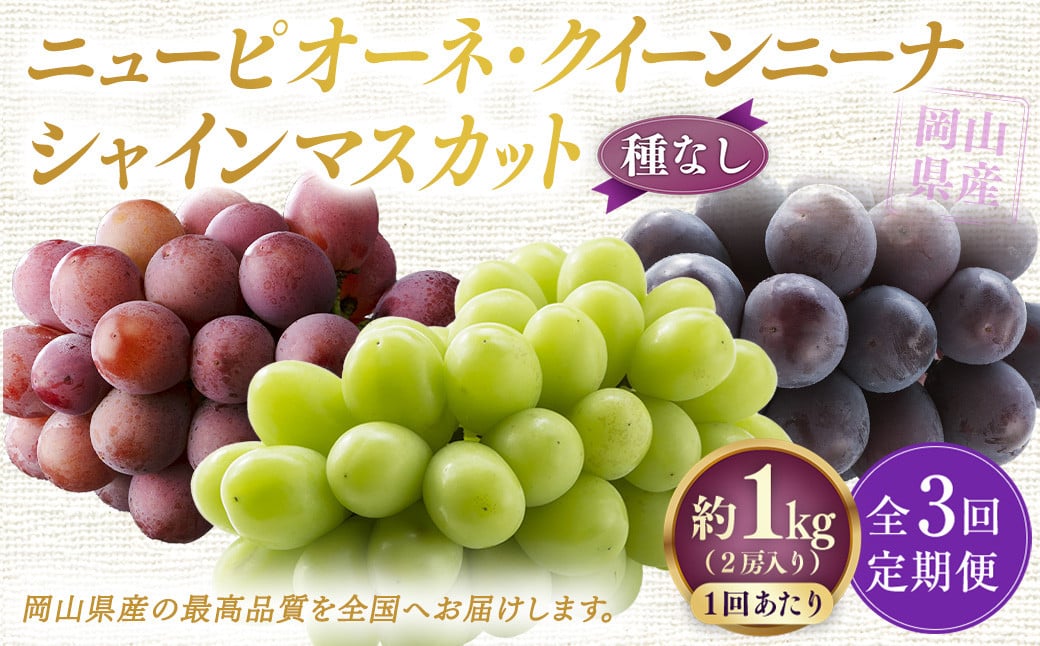 
            【定期便3回】 ［種なし］ 岡山県産 ニューピオーネ ・ クイーンニーナ ・ シャインマスカット 1kg箱（2房入り） 【2025年8月下旬発送開始】 ／ ぶどう ブドウ 葡萄 大粒 種なし 種無し フルーツ 果物 くだもの 果実
          