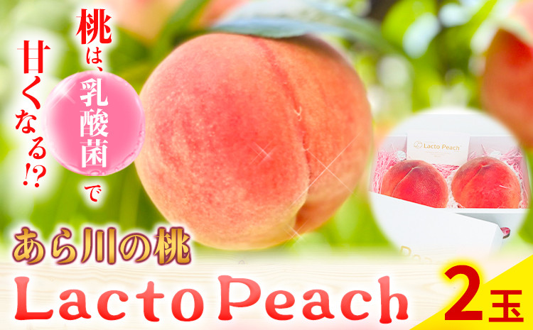 
            乳酸菌で育てた あら川の桃 Lacto Peach ラクトピーチ ２玉《2025年7月上旬-8月上旬頃出荷》 2玉入箱 和歌山県産 辻本農園 SEC & Co. 紀の川市 果物 フルーツ 桃 もも モモ 旬
          
