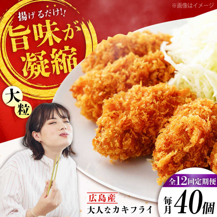 【ふるさと納税】【全12回定期便】こだわり大粒の『大人なカキフライ』【瞬間冷凍】40個入り 【瞬間冷凍】『大人なカキフライ』魚介類 海鮮 牡蠣 むき身 冷凍 かき カキフライ カキ ギフト 広島県産 人気 送料無料 江田島市/有限会社マルイチ水産[XCU010]