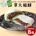 【ふるさと納税】草大福餅 8個 (1つあたり95g) 手作り 保存料不使用 草餅 草大福餅 よもぎ 蓬餅 ヨモギ 蓬 あんこ つぶあん 粒あん 北海道産 小豆 あずき 大福 餅 もち 餅米 もち米 和菓子 冷凍 個包装 スイーツ 和スイーツ お菓子 おかし おやつ 東白川村 5000円