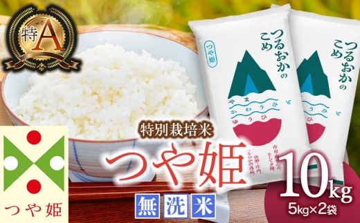 【令和8年5月下旬発送】【SDGs特別企画】 鶴岡産 令和７年産 つや姫 無洗米 10kg (5kg×2袋)　一等米　SDGs未来都市‟いのち輝く、創造と伝統のまち 鶴岡“ 環境に配慮した特別仕様 ＳＤＧｓ 特別企画品