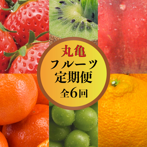 果物を贅沢に味わう 丸亀のフルーツ定期便 全6回 キウイ いちご 不知火 桃 シャインマスカット みかん さぬきひめ  フルーツ 定期便