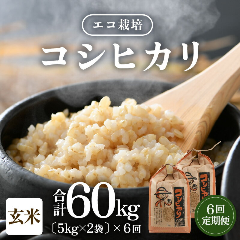 【ふるさと納税】【先行予約】【令和7年産 新米】《定期便6回》エコ栽培コシヒカリ 玄米10kg（5kg×2） ／ 鮮度抜群 福井県産 こしひかり ご飯 新鮮 玄米 ※2025年10月上旬より準備出来次第発送