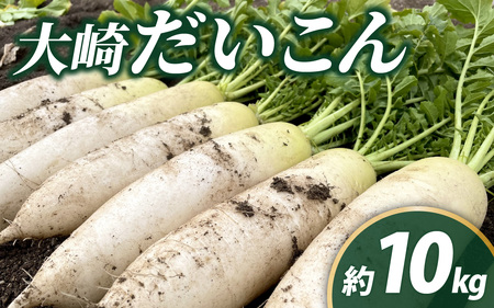 ＜2026年収穫分 先行予約＞大崎だいこん 1箱 10kg |野菜 10キロ だいこん