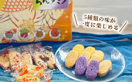 【名嘉真製菓本舗】ちんすこう5種類セット（2個×14袋入り）×2箱（ギフト箱） ちんすこう チンスコウ 人気 おすすめ 取り寄せ 沖縄銘菓 観光土産 お土産 おみやげ 焼き菓子 お菓子 おかし デザー