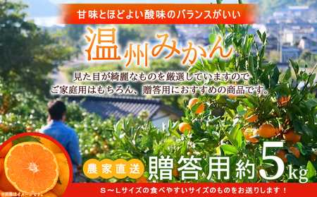 ＜明浜産 温州みかん 約5kg 贈答用＞ 愛媛みかん 農家直送 愛媛県産 果物 フルーツ 柑橘 うんしゅうみかん ウンシュウミカン オレンジ ミカン 蜜柑 S～Lサイズ プレゼント 贈答 国産 濱元柑