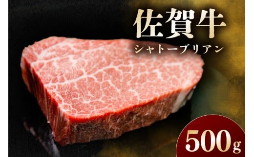 佐賀牛 シャトーブリアン 500g 194-J1608