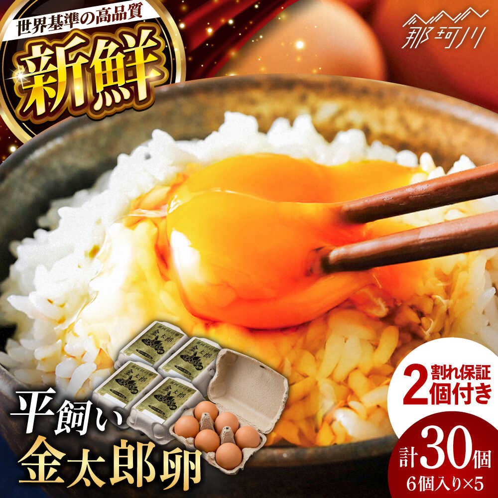 【ふるさと納税】【お中元対象】【TVで紹介！】【鮮度AA級の世界最高ランク！】金太郎卵 平飼い たまご 30個（6個×5パック）＜有限会社 フジノ香花園＞那珂川市 | 父の日 卵 たまご 平飼い 卵かけご飯 ご飯のお供 割れ保証 [GAM006] 10000 10000円 1万円 以上