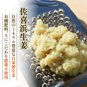 国産 佐喜浜生姜 約1kg 生姜 ショウガ 薬味 料理 家庭用 農家直送 旬 野菜 生姜焼き 高知県 室戸市