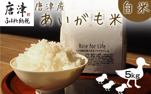 
            『先行予約』【令和7年産】唐津産 あいがも米 5kg (白米) 一粒田 合鴨農法 無農薬 無化学肥料 コメ お米 ごはん
          