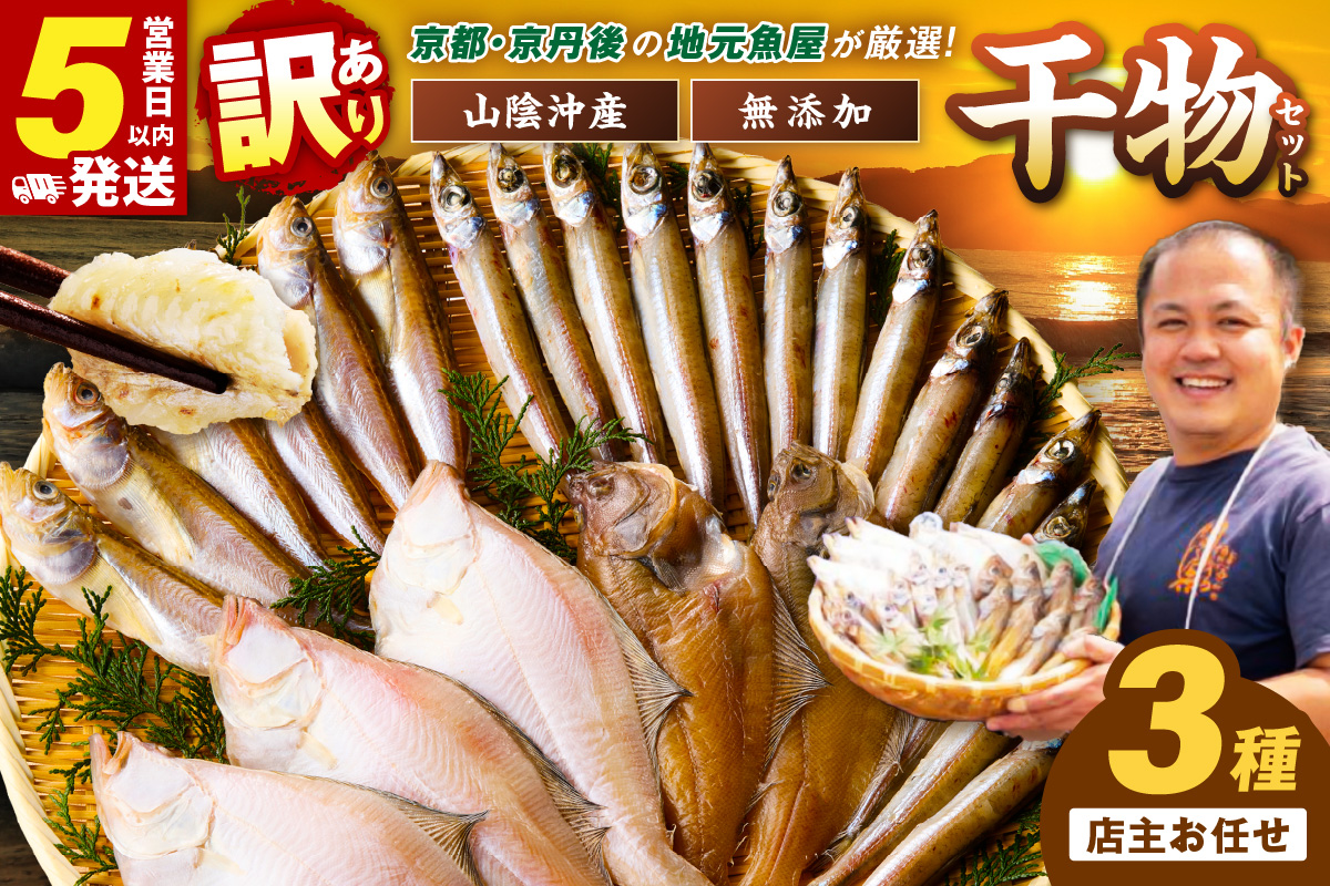 【最短2～5営業日以内に発送】京丹後の地元魚屋が作ったお任せ干物セット（冷凍）　TB00024SH