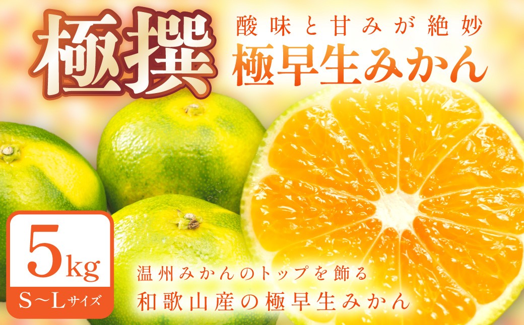 
                  極早生みかん 5kg 和歌山産 甘酸っぱいみかん フルーツ 果物 デザート
                