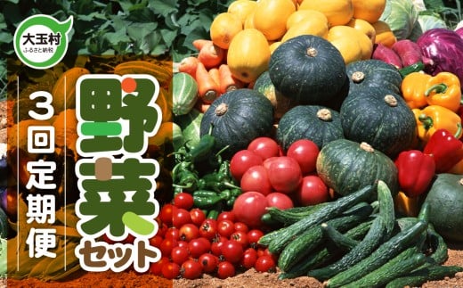 野菜 セット  (全3回)  先行 予約・ 定期便  ｜旬 の 野菜 10品目 前後 お届け｜トマト 大根 小松菜 ねぎ にんじん ピーマン きゅうり ナス 他｜新鮮 野菜詰め合わせ 無農薬 直送 定期 野菜便 福島県 大玉村 01107