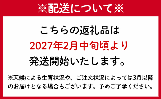 【先行受付】徳之島 天城町産 赤土じゃがいも 5kg M～2L 混合サイズ 南部ガーデン ジャガイモ ばれいしょ バレイショ CB-5