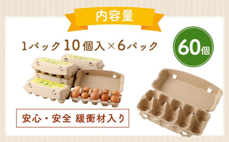 【定期便：12か月】【食べチョクアワード2025 畜産部門 1位の日本一のたまご】単なる平飼いではない『わたしたちのぷらいどたまご』6パック（60個）セット