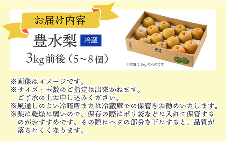 【先行予約】【豊水梨】3kg前後 (5~8個) もぎたて！たっぷり果汁の新鮮な梨をお届け！【2026年8月下旬以降順次発送予定】【梨 なし 和梨 フルーツ 甘い みずみずしい 果実 果物 新鮮 お土産