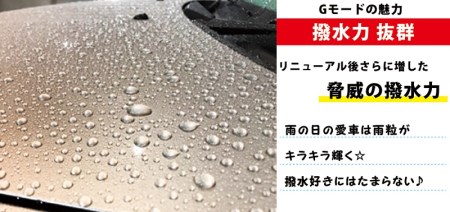 R14133　シャンプー&コーティング剤「Gモード」1,000ｍｌ＆250mlセット