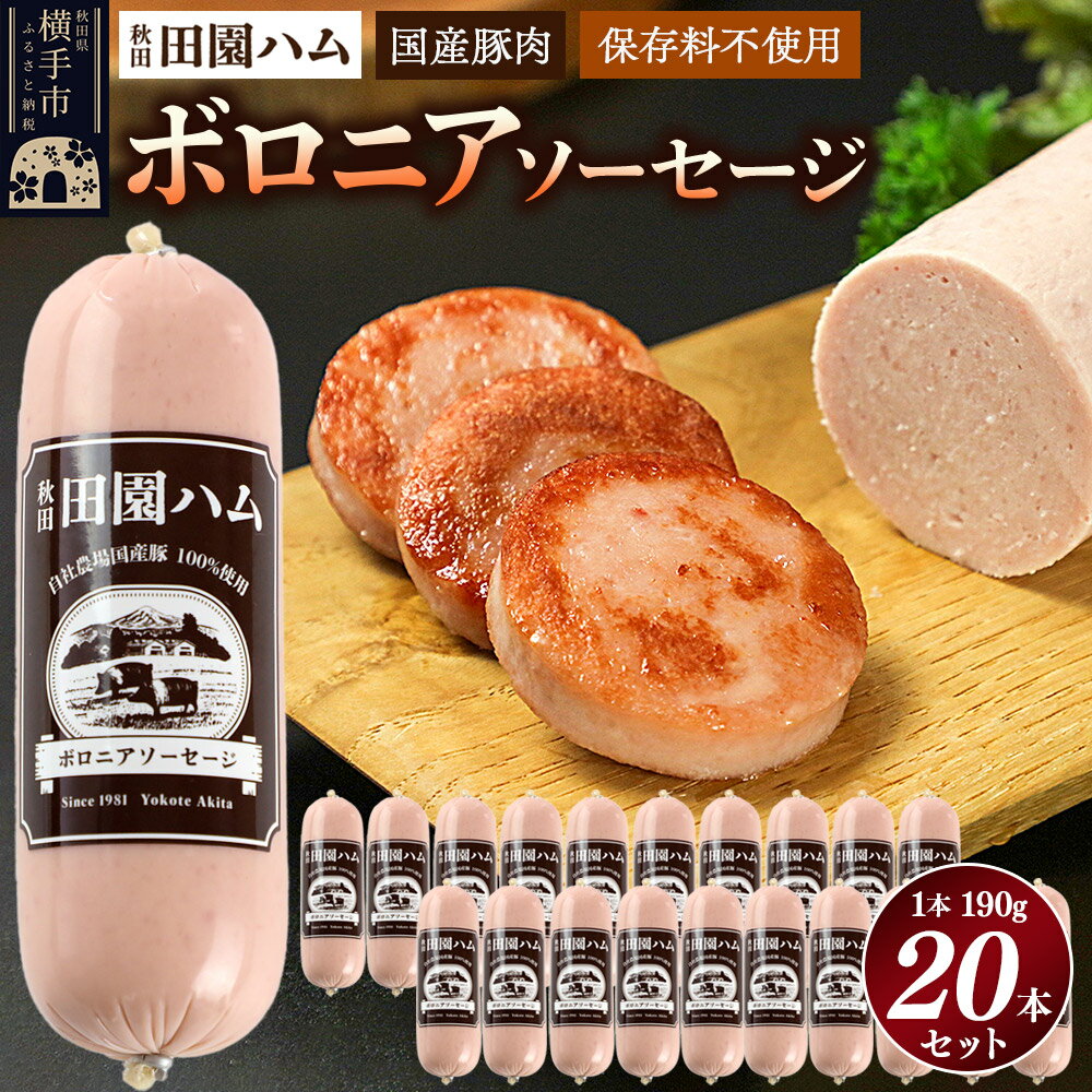 【ふるさと納税】田園ハム ボロニアソーセージ 190g×20本セット [国産 豚肉 ソーセージ]