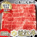 【ふるさと納税】 近江牛 すきやき用[吟] 500g（肩ロース、リブロース、サーロイン等） 4等級以上 カネ吉山本冷凍 牛肉 牛 A4/A5 すき焼き ブランド牛 日本三大和牛 国産 霜降り 滋賀県産 贈り物 ギフト にも 送料無料 すき焼き肉