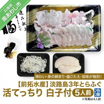 ふるさと納税 南あわじ市 【冷凍】淡路島3年とらふぐ(活てっちり/白子付)5人前
