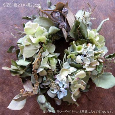 ふるさと納税 糸島市 ドライフラワー リース 《糸島》【PLAISIR】花 装飾 緑 インテリア [ANC001] |  | 01