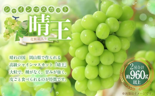 シャインマスカット 晴王 2房（1房480g以上） 計960g以上 化粧箱入り 【2025年8月下旬～11月上旬迄発送予定】 ぶどう ブドウ 葡萄 マスカット 種なし 果物 くだもの フルーツ 冷蔵 国産