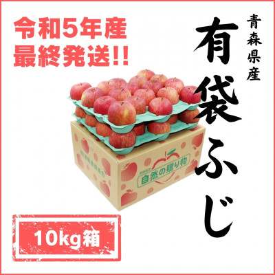 青森県産 有袋ふじ 10キロ箱 (28～40玉) 津軽産直組合から冷蔵便でお届け♪【配送不可地域：離島】