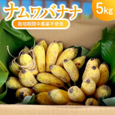 ふるさと納税 南城市 南城市の栽培期間中農薬不使用のナムワバナナ5kg