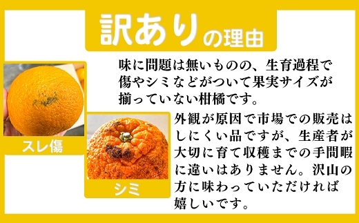 ご家庭用 【先行受付】後藤農園 不知火 3kg 訳あり 熊本県 南関町 フルーツ 果物 くだもの 柑橘