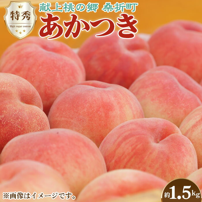 【ふるさと納税】もも【あかつき・2026年産先行受付】特秀1.5kg「献上桃の郷ブランド品」桑折町産　JAふくしま未来　桃／ モモ 果物 フルーツ 送料無料 福島県 特産品 No.136