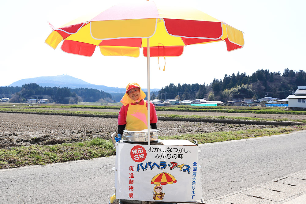 夏季限定 ババヘラ・バラ盛り(3個)メロンバラ盛り(3個)セット【進藤冷菓】7月より順次発送 ご当地アイス