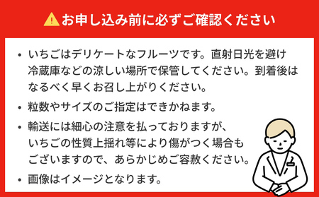 【2026年1月中旬発送開始】 いちご とちおとめ 恋みのり にこにこベリー とらいべりー 280g × 4  平パック 苺 イチゴ フルーツ 果物 ストロベリー ベリー デザート 甘み 酸味 宮城県
