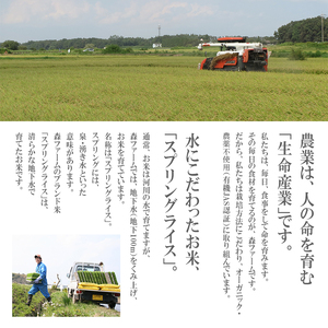 スプリングライス ミルキークィーン (玄米)10kg ※着日指定不可 | 米 こめ コメ ご飯 玄米 単一米 国産 茨城県産 _BI63