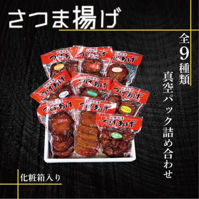 ふるさと納税 枕崎市 真空パック さつま揚げ(つけあげ)全9種詰合せ 化粧箱入り B0-22
