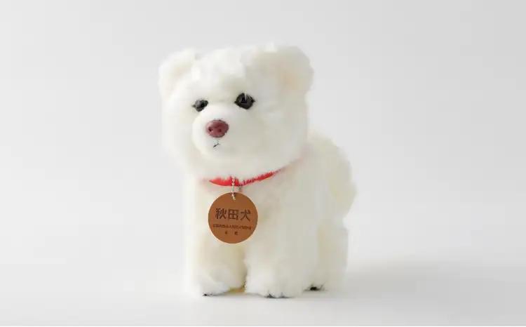65P7305 秋田犬白毛(鼻ピンク)ぬいぐるみ　座りＭサイズ【秋田犬保存会】