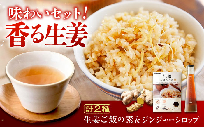 生姜詰め合わせ ジンジャーシロップ珠玉 200ml×1本 ＆ 生姜ごはんの素 2合×1袋　広島県福山市/ジンジャーダイヤモンド 生姜 しょうが ショウガ 炊き込みご飯 生姜湯 国産 [BAAV002]