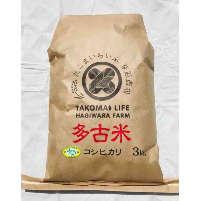 ふるさと納税 多古町 新米【令和7年産】たこまいらいふ萩原農場の多古米コシヒカリ(精米)3kg