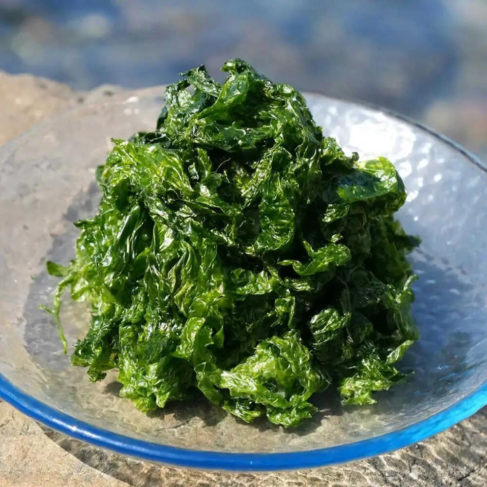 上五島産 生あおさ 100g×5袋【ごとうみ】[RCR001]
