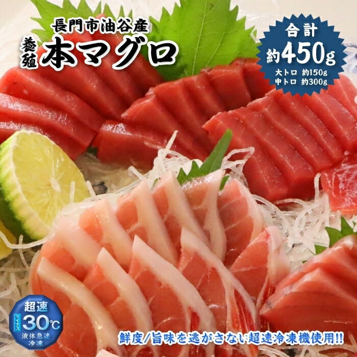 【ふるさと納税】まぐろ 本マグロ 大トロ 中トロ セット 450g (養殖) 高級部位 柵 トロ マグロ 鮪 刺身 さしみ 魚 魚介 まぐろ丼 まぐろ漬け丼 海鮮丼 冷凍 真空 油谷産 養殖本マグロ 山口県 長門市 (1275)