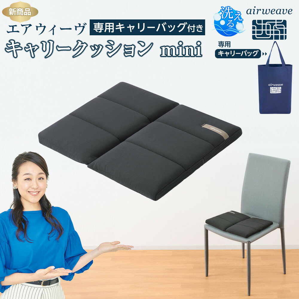 【ふるさと納税】★TBSテレビ系列「ひるおび」で取り上げられました！★ エアウィーヴ キャリークッションmini | クッション 安眠グッズ 快眠グッズ 寝具 快眠 おすすめ 座布団 人気 クッション 洗える 通気性 座布団 ギフト プレゼント 人気 送料無料 おすすめ