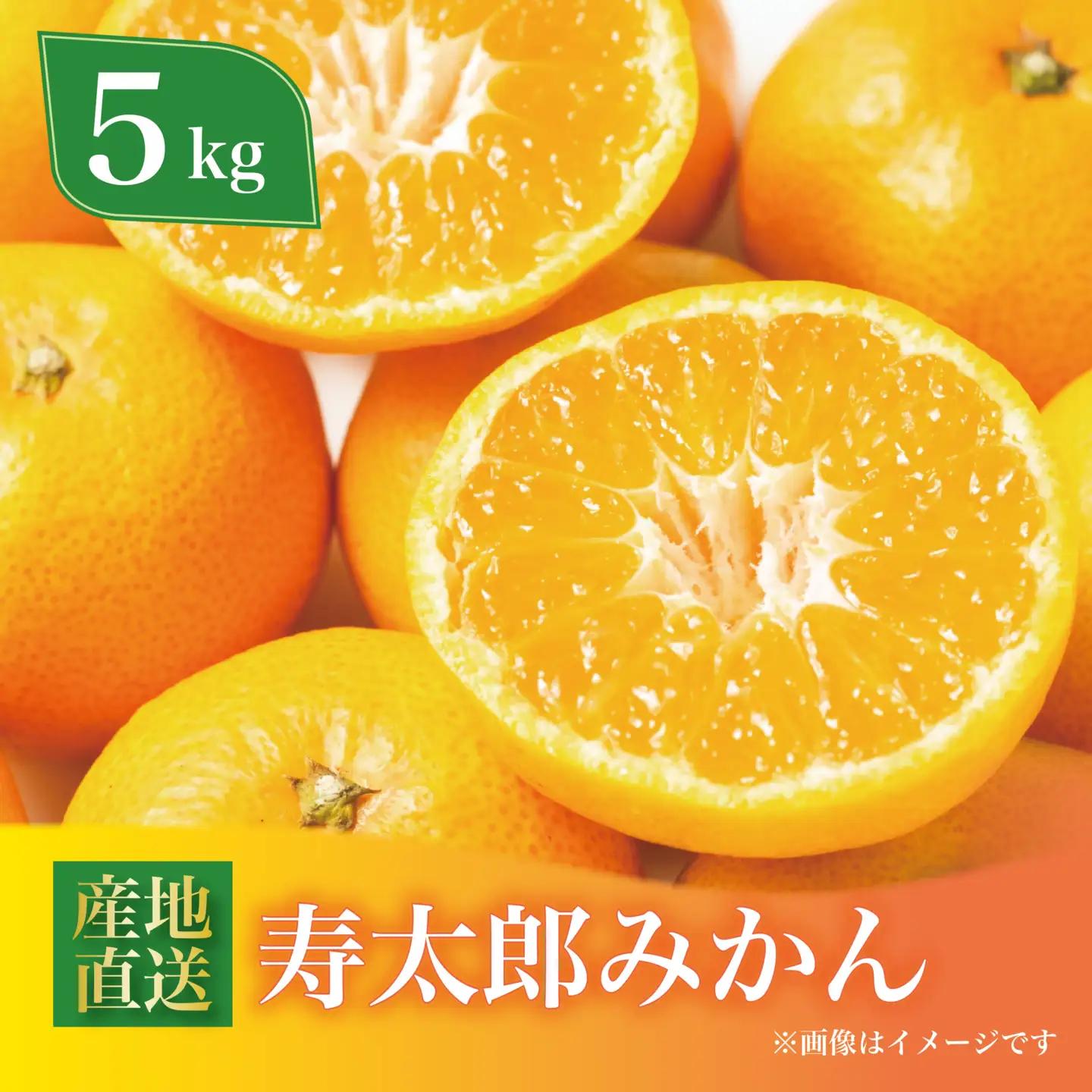 寿太郎みかん 約5kg みかん 蜜柑