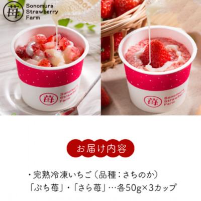 ふるさと納税 宇土市 熊本県宇土産 完熟冷凍いちご「ぷち苺・さら苺」3x3カップ 練乳付き 園村苺園 |  | 01