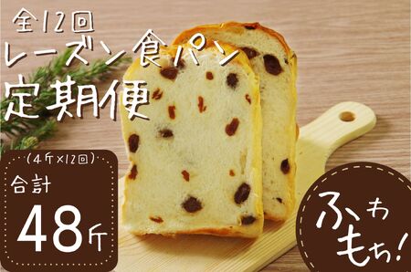 12回定期便 レーズン食パンセット【室戸海洋深層水仕込み】 4斤×12回 食パン もちもち ぱん 北海道産小麦使用 朝食 ギフト 定期便 人気 食事パン おやつ レーズン ぶどう ドライフルーツ 頒布会