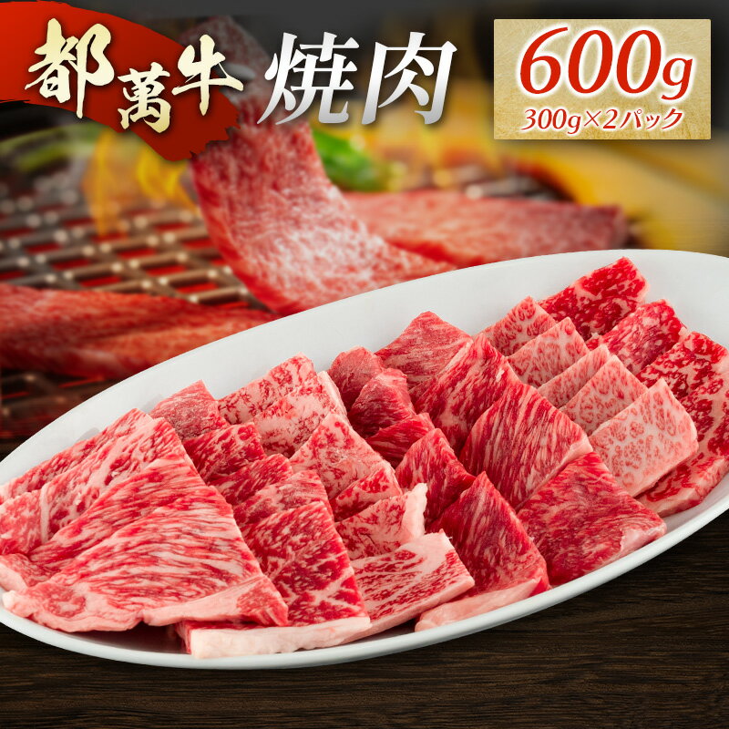 【ふるさと納税】黒毛和牛＜都萬牛＞焼肉 300g×2パック 計600g